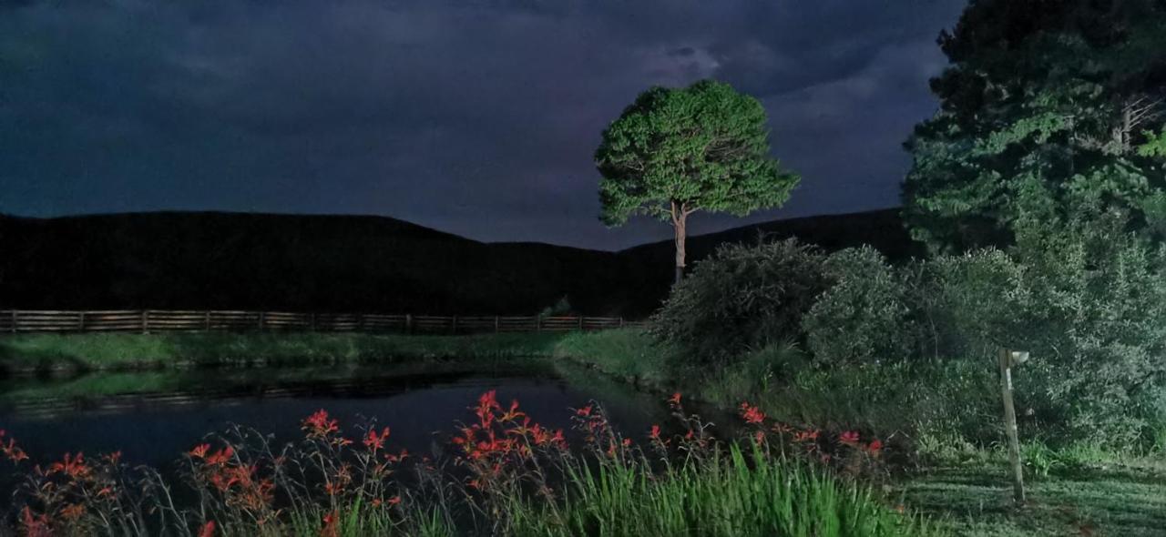 Nguni Moon Tepee Camp 호텔 언더버그 외부 사진