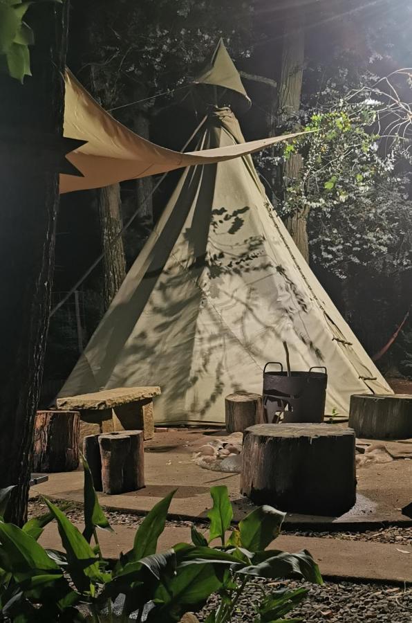 Nguni Moon Tepee Camp 호텔 언더버그 외부 사진