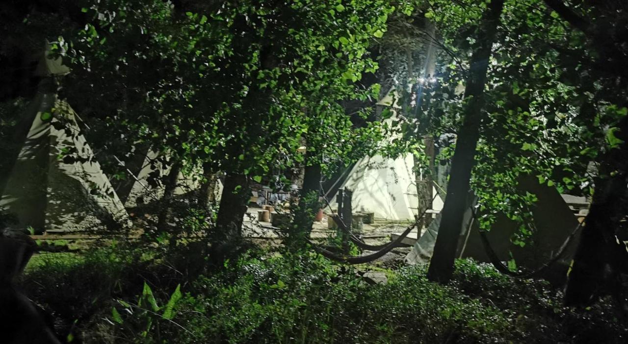 Nguni Moon Tepee Camp 호텔 언더버그 외부 사진