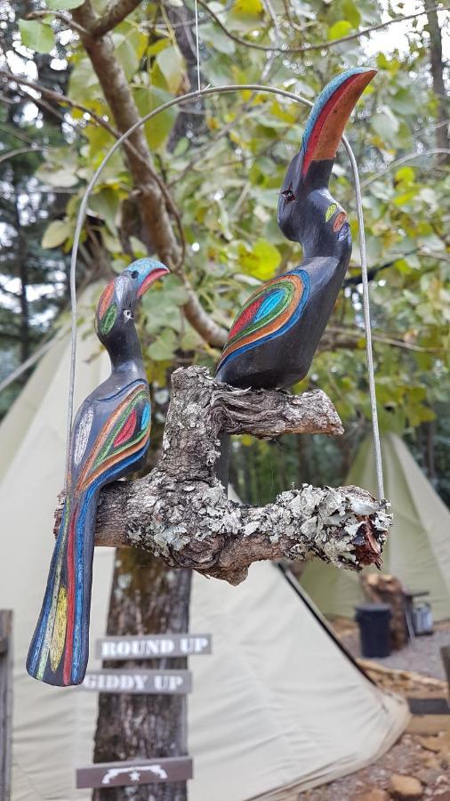 Nguni Moon Tepee Camp 호텔 언더버그 외부 사진
