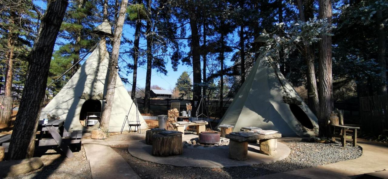 Nguni Moon Tepee Camp 호텔 언더버그 외부 사진